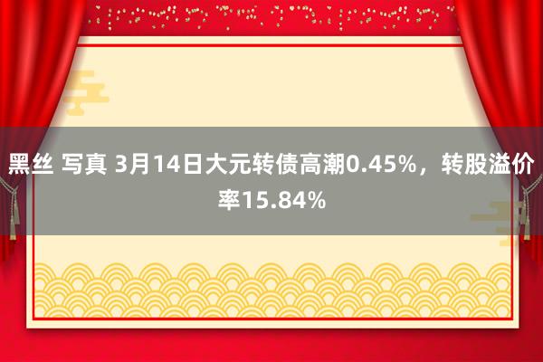 黑丝 写真 3月14日大元转债高潮0.45%，转股溢价率15.84%