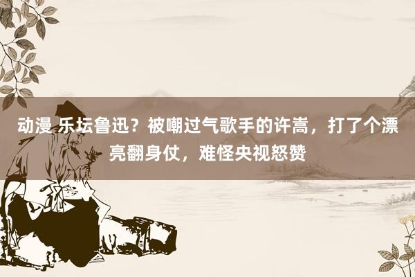 动漫 乐坛鲁迅？被嘲过气歌手的许嵩，打了个漂亮翻身仗，难怪央视怒赞